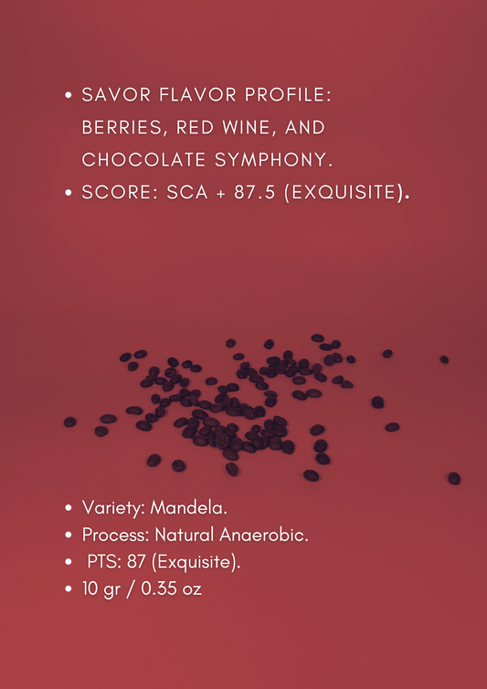 Mandela - SCA +87 EXQUISITE.