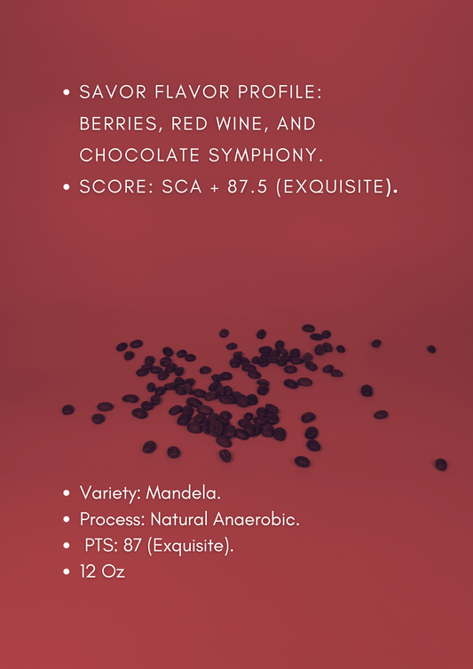 Mandela - SCA +87 EXQUISITE.