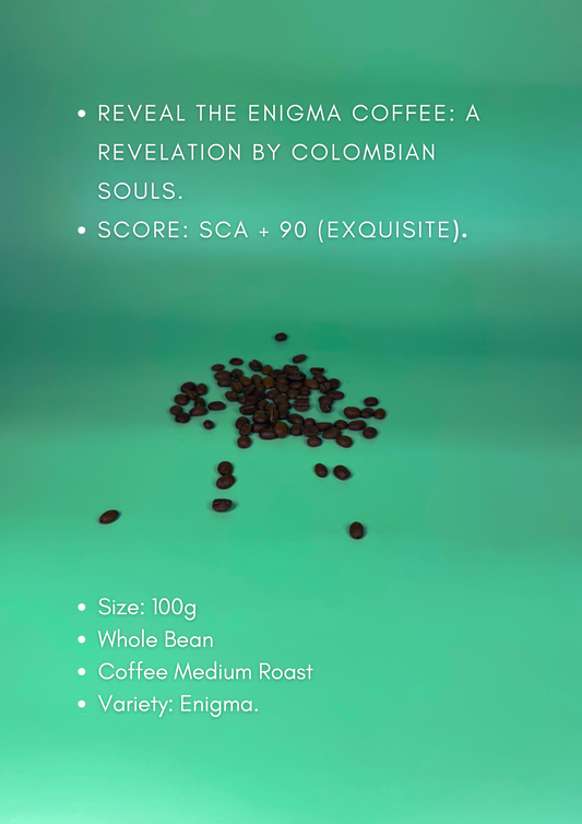 Championship Exotic - Enigma Luxury SCA +90.