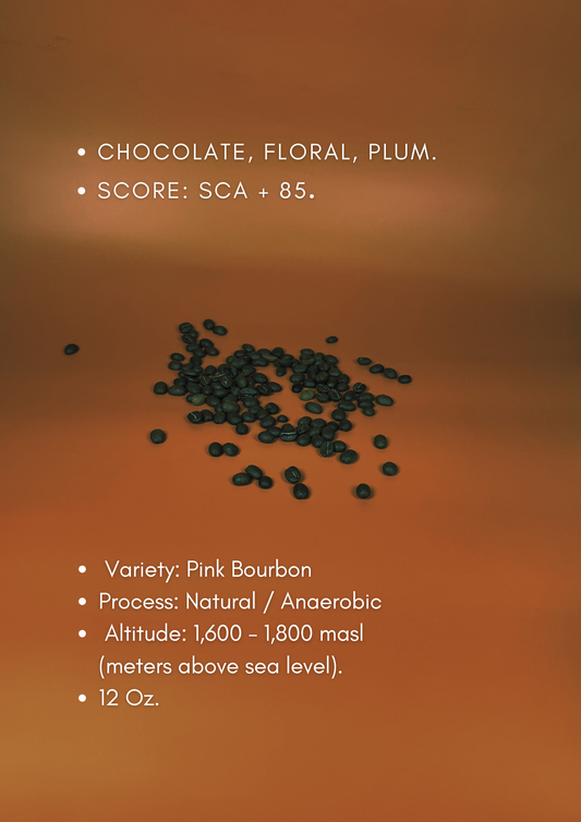 Pink Bourbon - SCA +85 EXCELLENT.